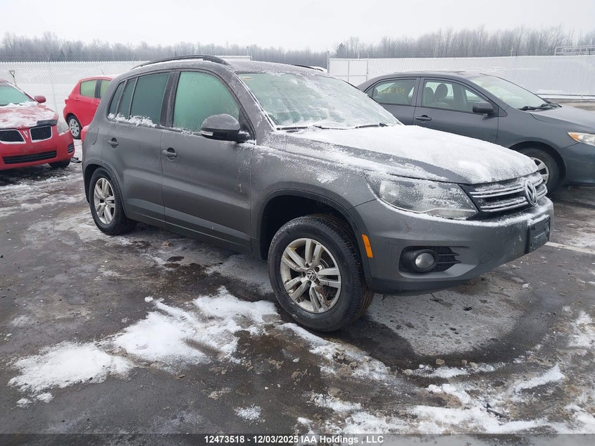 WVGJV3AX6EW566179 2014 Volkswagen Tiguan auction photo 1