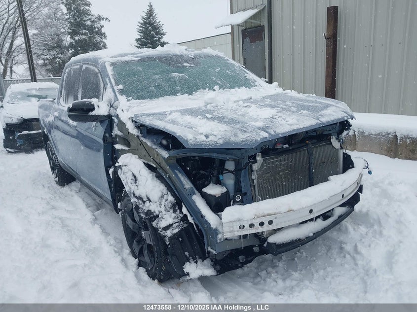 5FPYK3F85RB502097 2024 Honda Ridgeline Black Edition auction photo 1