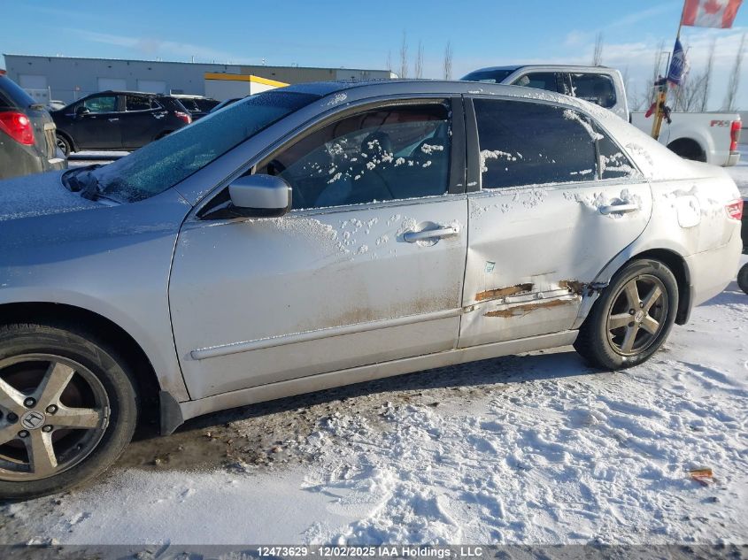 2005 Honda Accord Ex-L VIN: 1HGCM566X5A807994 Lot: 12473629