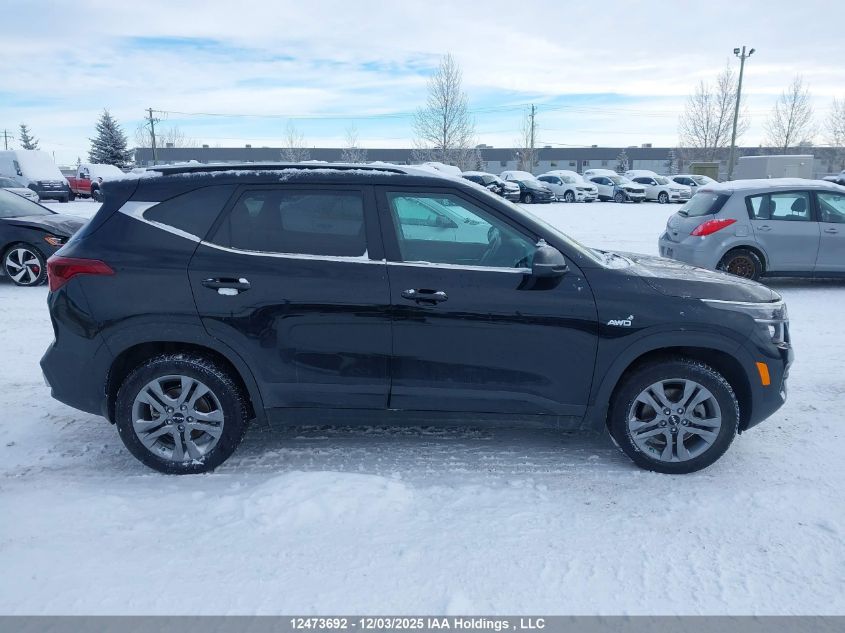 2023 Kia Seltos Ex VIN: KNDEUCAA2P7347835 Lot: 12473692