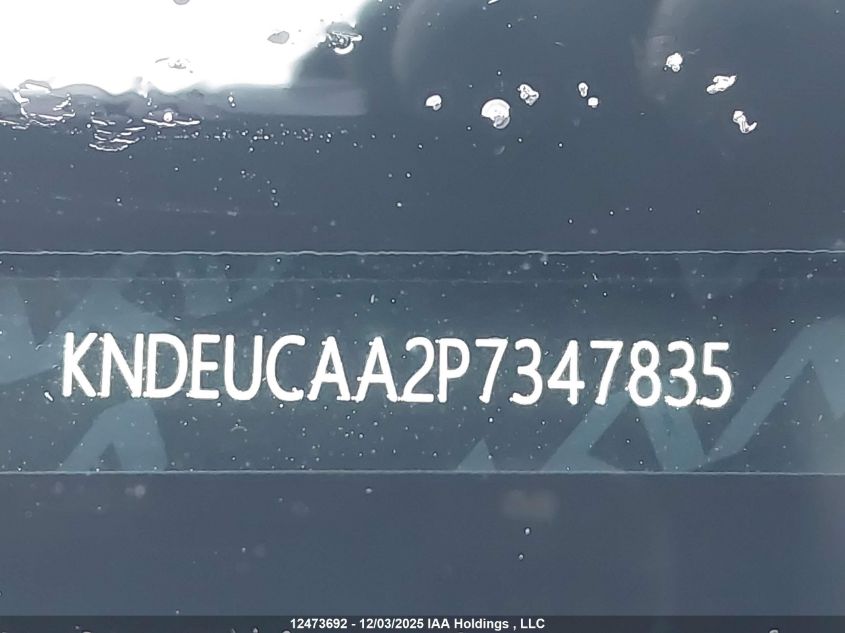 2023 Kia Seltos Ex VIN: KNDEUCAA2P7347835 Lot: 12473692