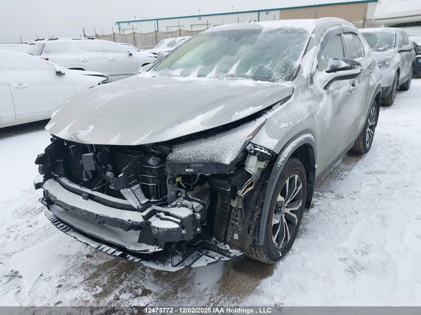 JTJBARBZ8H2145872 2017 LEXUS NX photo no. 2