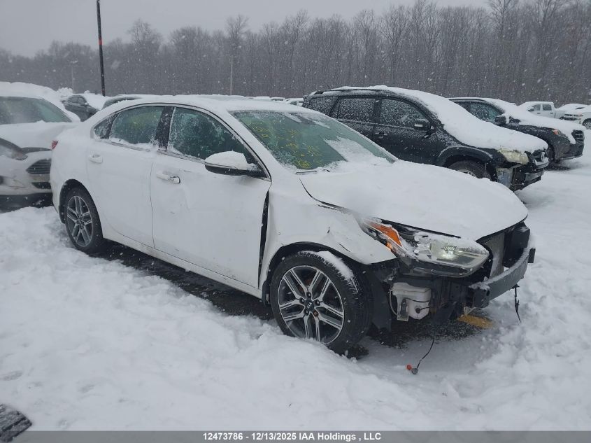 2019 Kia Forte Ex/Ex Limited/Ex Premium/Ex+ VIN: 3KPF54AD9KE095141 Lot: 12473786