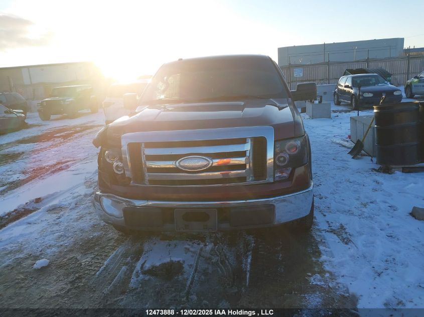 2009 Ford F-150 Xlt VIN: 1FTRW12889FB17995 Lot: 12473888