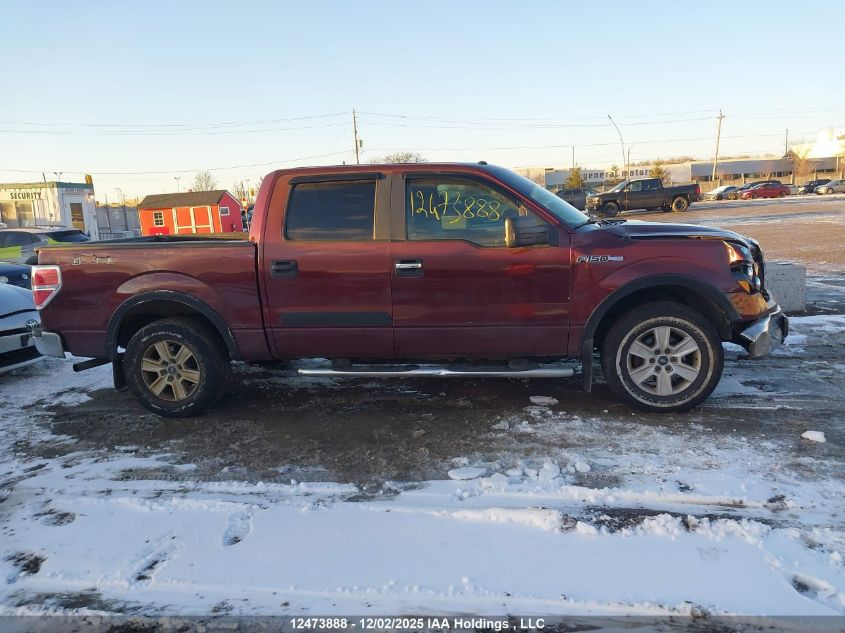 2009 Ford F-150 Xlt VIN: 1FTRW12889FB17995 Lot: 12473888