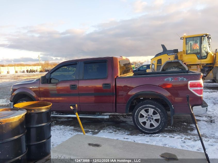 2009 Ford F-150 Xlt VIN: 1FTRW12889FB17995 Lot: 12473888