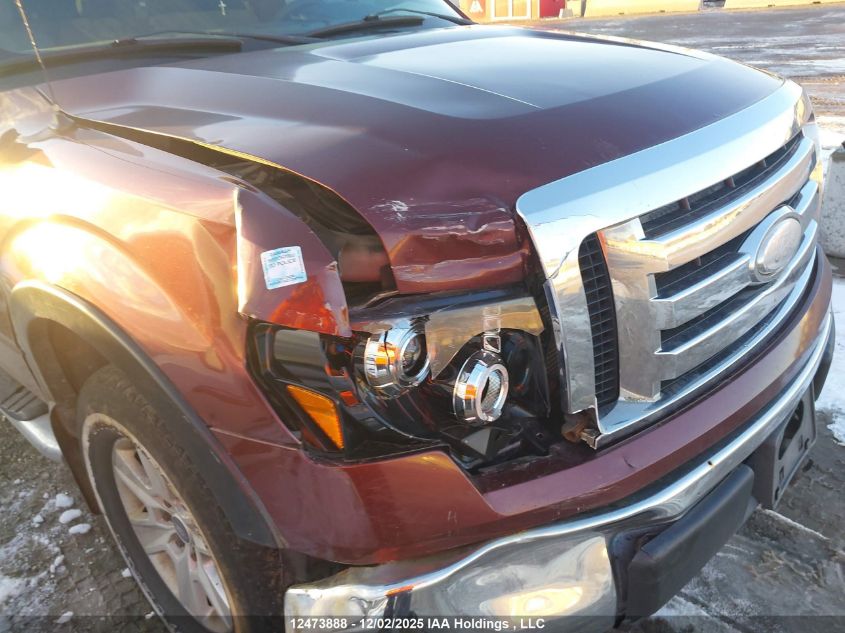 2009 Ford F-150 Xlt VIN: 1FTRW12889FB17995 Lot: 12473888