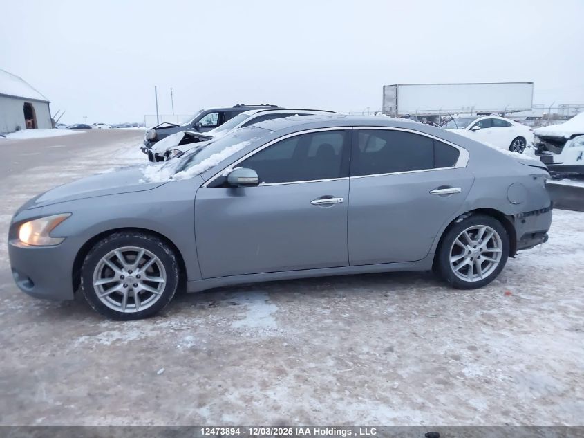 2009 Nissan Maxima 3.5 S VIN: 1N4AA51E89C840084 Lot: 12473894