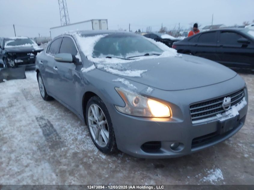 2009 Nissan Maxima 3.5 S VIN: 1N4AA51E89C840084 Lot: 12473894