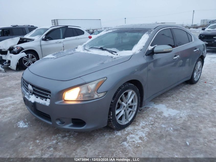 2009 Nissan Maxima 3.5 S VIN: 1N4AA51E89C840084 Lot: 12473894