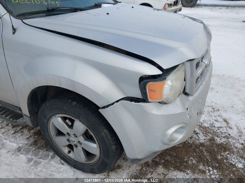 2010 Ford Escape Xlt VIN: 1FMCU9DG2AKC86724 Lot: 12473901