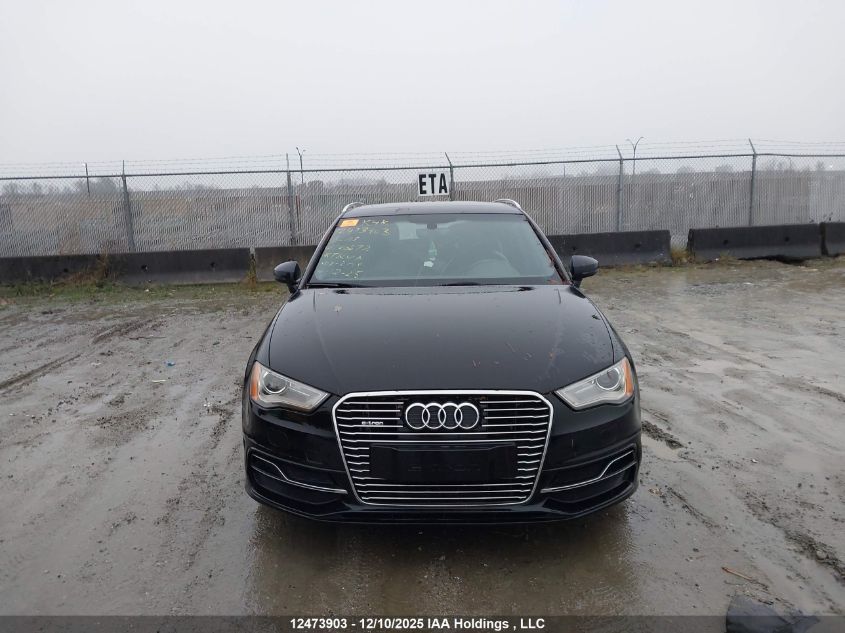 2016 Audi A3 E-Tron 1.4T Premium VIN: WAUVPBFF5GA166072 Lot: 12473903