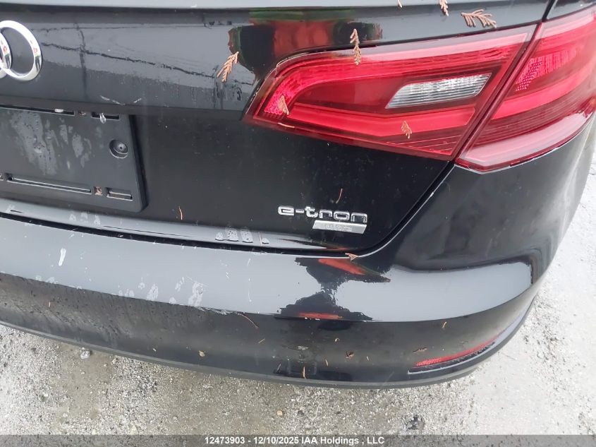 2016 Audi A3 E-Tron 1.4T Premium VIN: WAUVPBFF5GA166072 Lot: 12473903