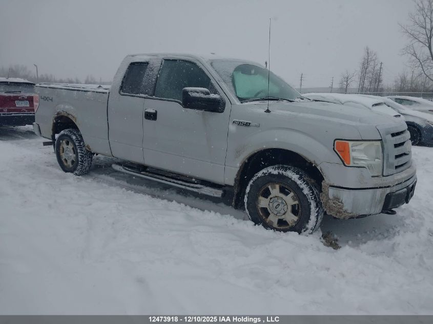 2009 Ford F150 Super Cab VIN: 1FTRX14899FA60488 Lot: 12473918