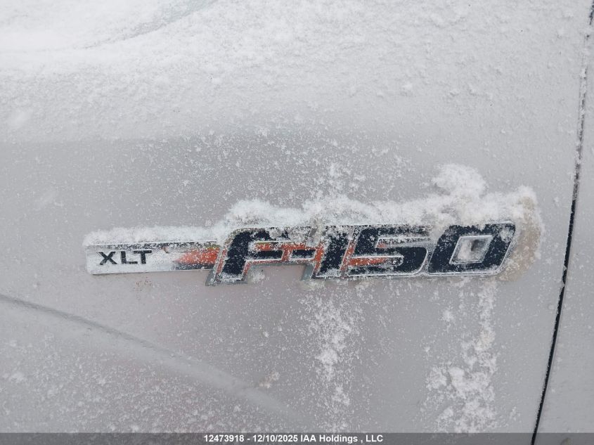 2009 Ford F150 Super Cab VIN: 1FTRX14899FA60488 Lot: 12473918