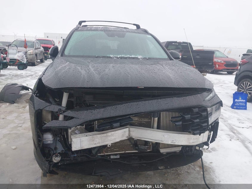 5NMS3DAL4PH630274 2023 HYUNDAI SANTA FE photo no. 6