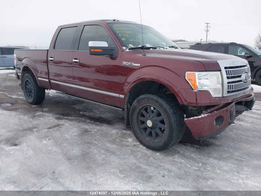 1FTPW14V19FA54801 2009 FORD F-150 photo no. 8