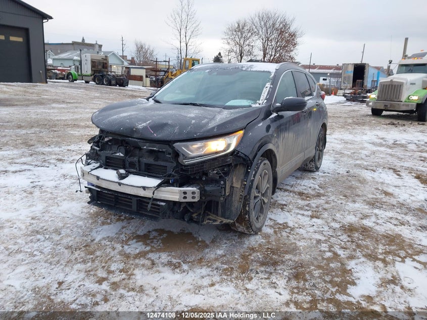 2HKRW2H81LH227703 2020 HONDA CR-V photo no. 2
