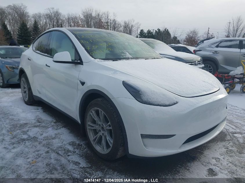 2024 Tesla Model Y