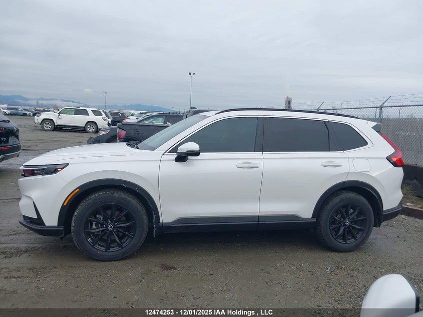 2HKRS4H59SH116375 2025 HONDA CR-V photo no. 14