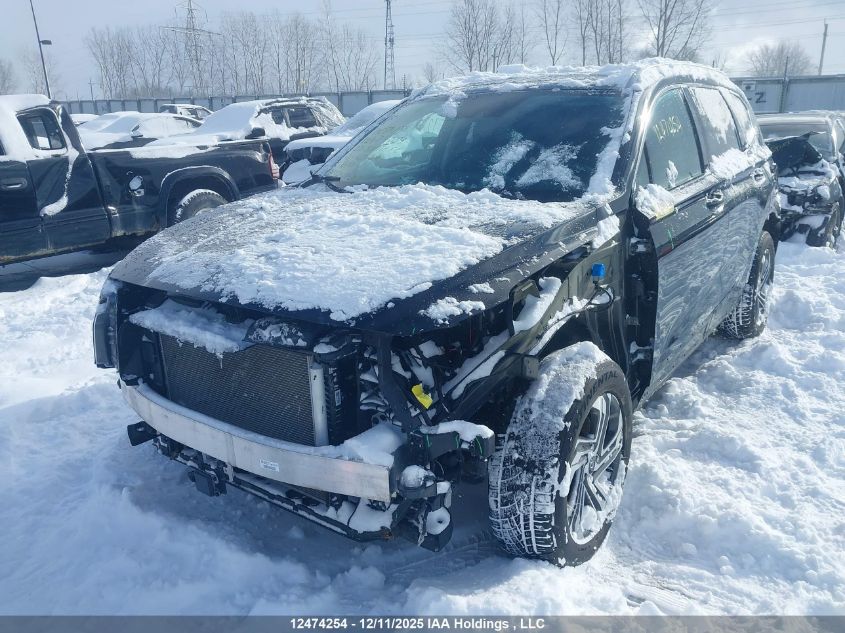 2022 Hyundai Santa Fe VIN: 5NMS3DAJ4NH451129 Lot: 12474254