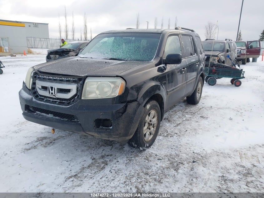 5FNYF4H54BB505276 2011 HONDA PILOT photo no. 2