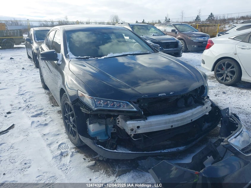 19UUB1F57GA800868 2016 Acura Tlx Tech auction photo 1