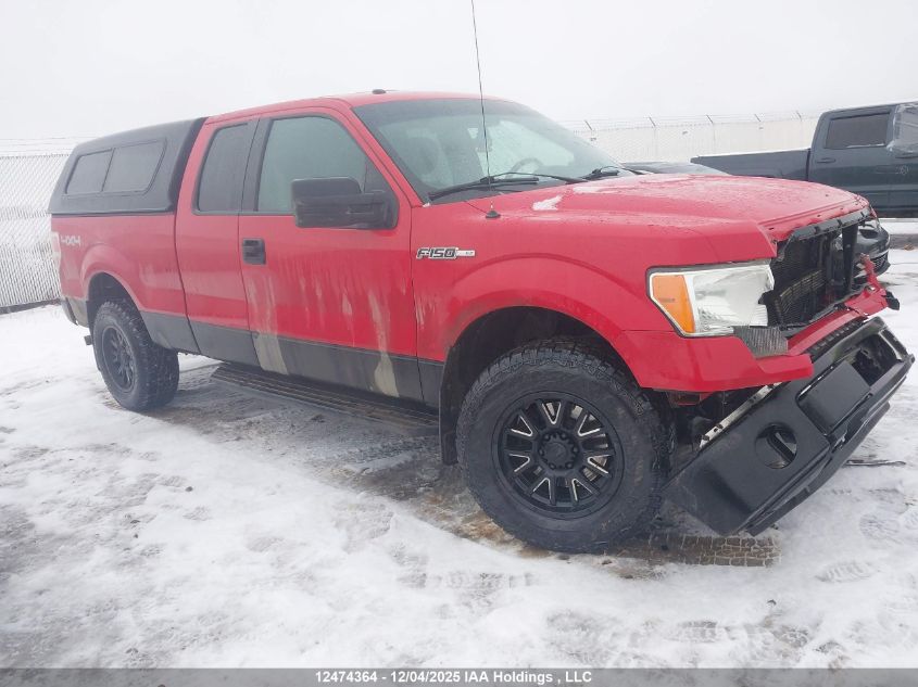 2014 Ford F-150 Xlt VIN: 1FTFX1EF0EKE15260 Lot: 12474364