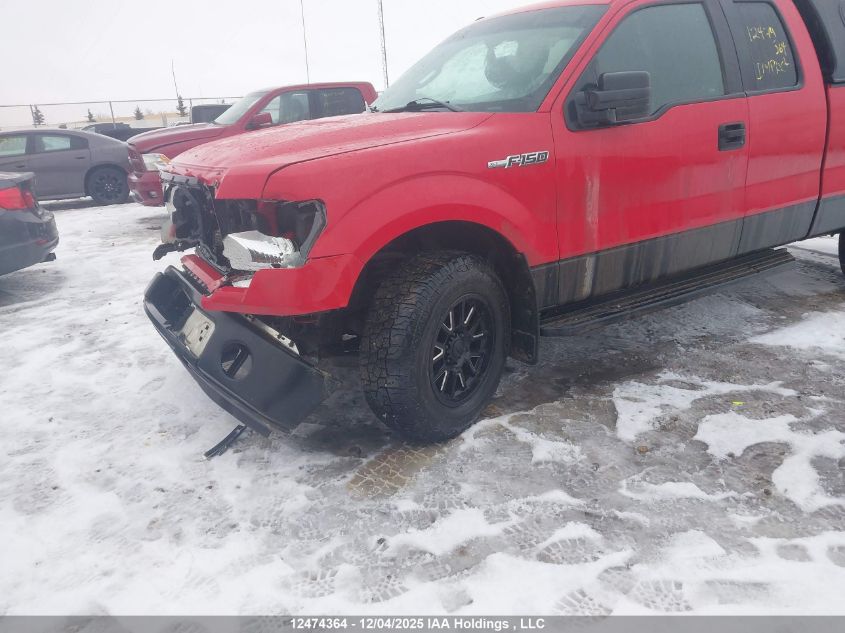 2014 Ford F-150 Xlt VIN: 1FTFX1EF0EKE15260 Lot: 12474364