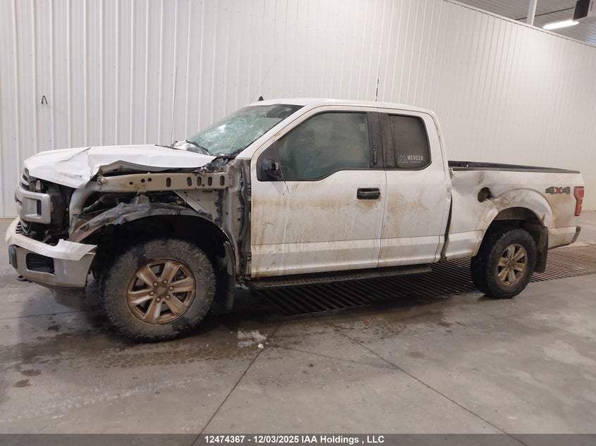 1FTFX1E56LKE00072 2020 FORD F-150 photo no. 14