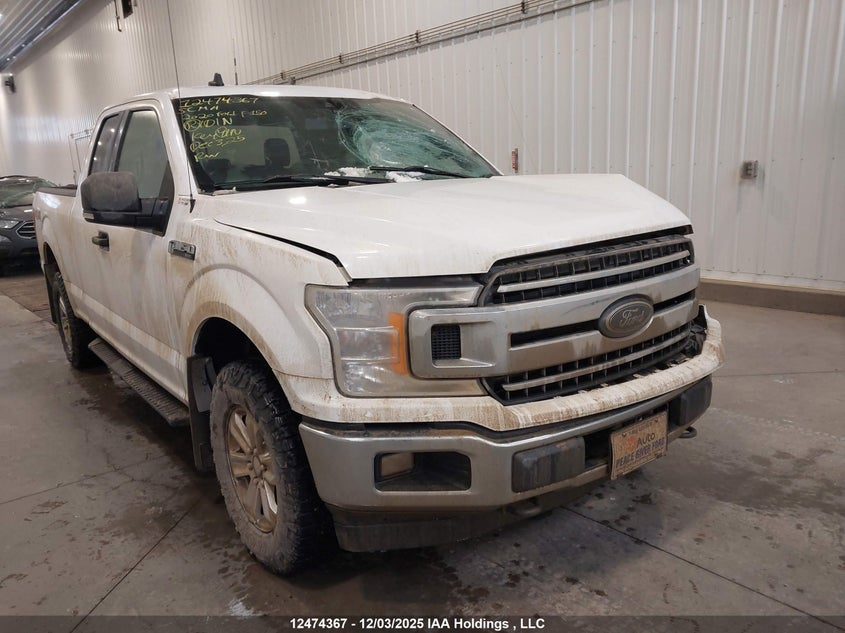 1FTFX1E56LKE00072 2020 FORD F-150 photo no. 12