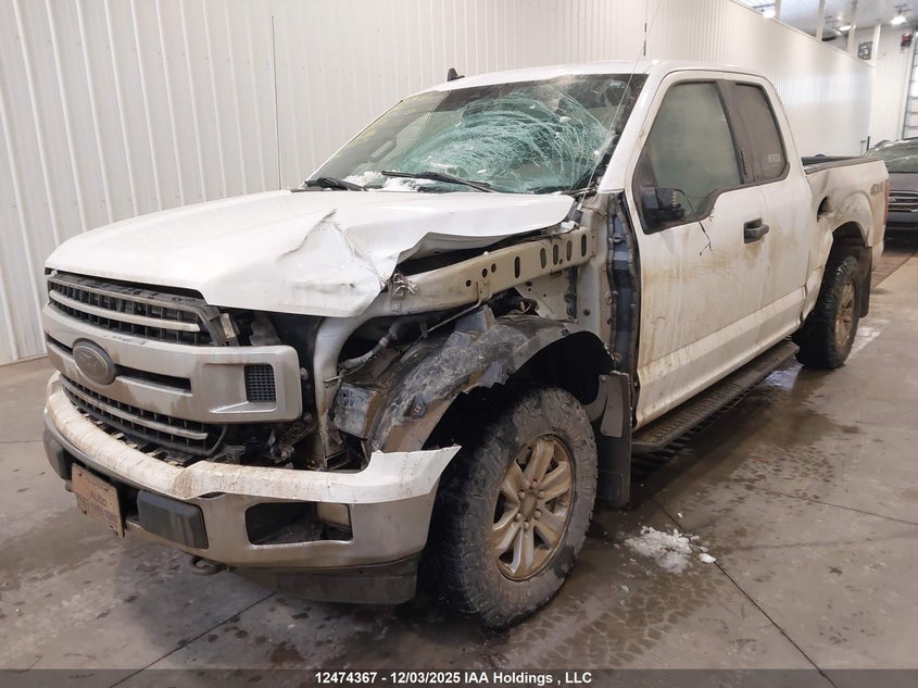 1FTFX1E56LKE00072 2020 FORD F-150 photo no. 2