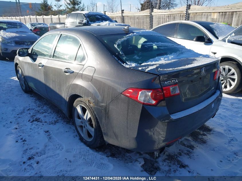 2009 Acura Tsx VIN: JH4CU26669C801177 Lot: 12474431