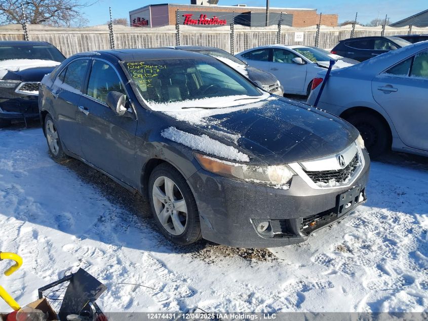 2009 Acura Tsx VIN: JH4CU26669C801177 Lot: 12474431