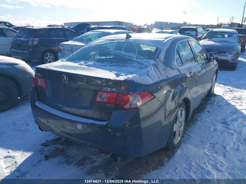 2009 Acura Tsx VIN: JH4CU26669C801177 Lot: 12474431