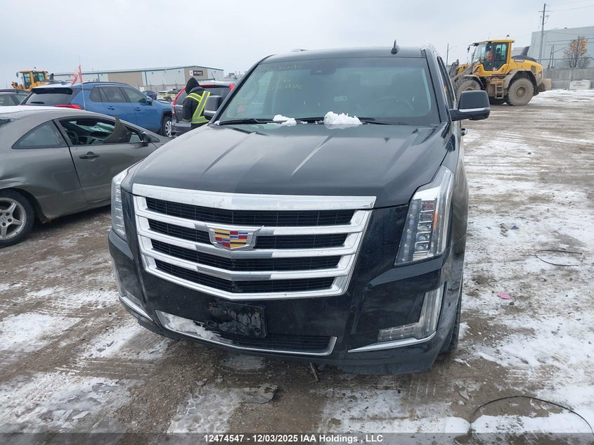 1GYS4BKJXKR220396 2019 CADILLAC ESCALADE photo no. 12