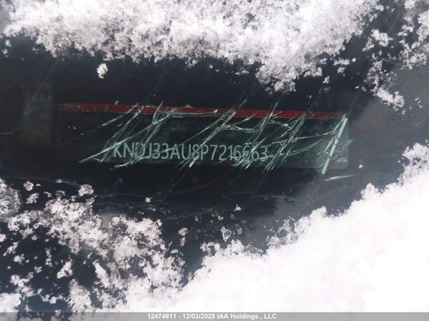 2023 Kia Soul Ex VIN: KNDJ33AU8P7216663 Lot: 12474611