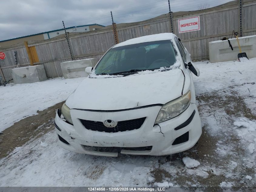 2009 Toyota Corolla VIN: 2T1BU40E19C082663 Lot: 12474858
