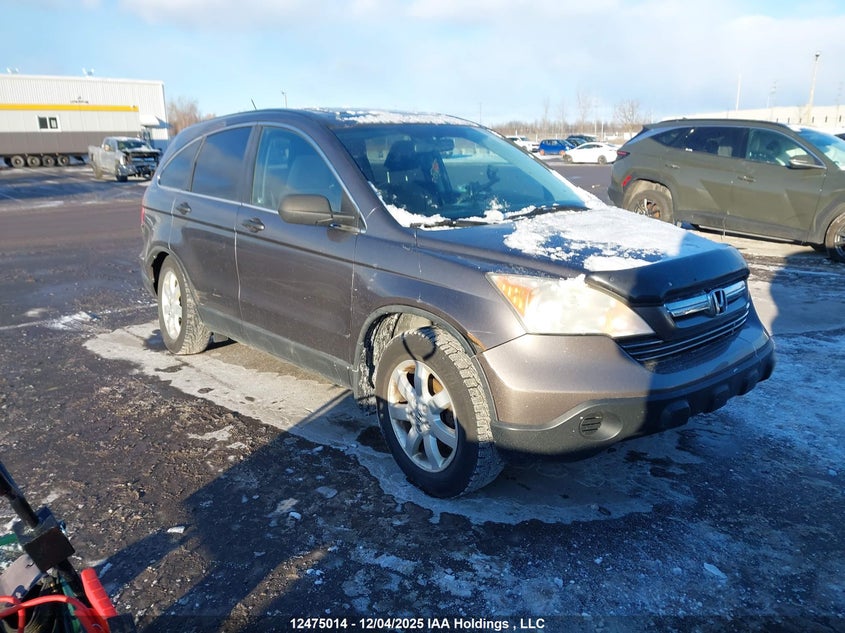 5J6RE48599L801242 2009 Honda Cr-V Ex auction photo 1