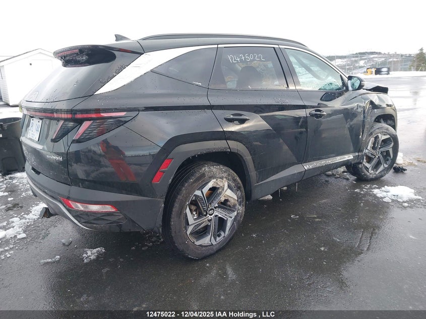 KM8JCCA11PU104161 2023 HYUNDAI TUCSON photo no. 4