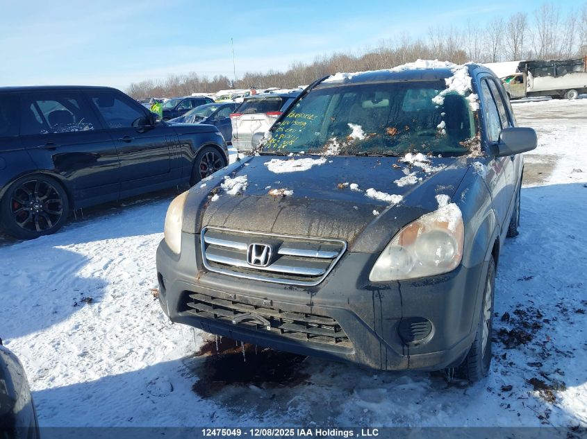 2005 Honda Cr-V Ex VIN: JHLRD78855C803121 Lot: 12475049