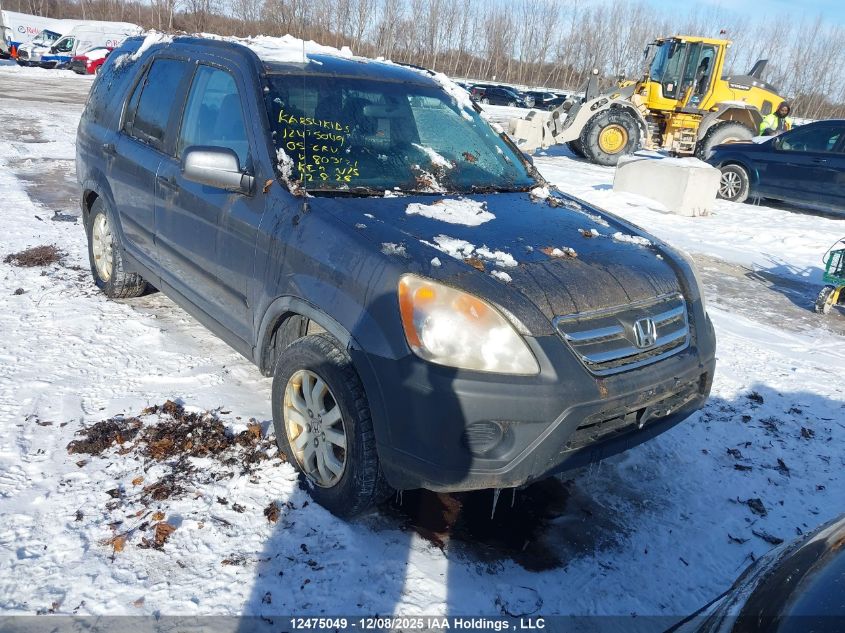 2005 Honda Cr-V Ex VIN: JHLRD78855C803121 Lot: 12475049