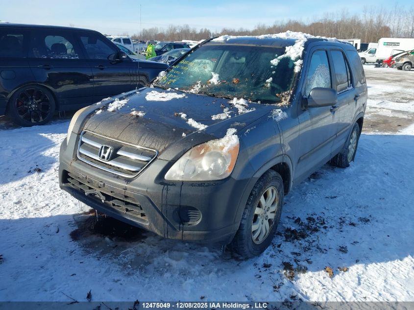 2005 Honda Cr-V Ex VIN: JHLRD78855C803121 Lot: 12475049