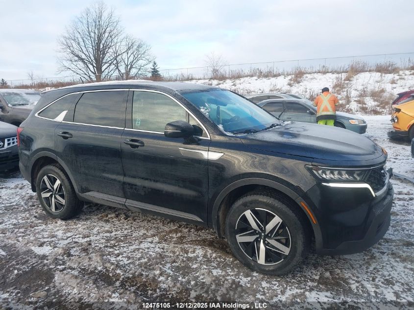 2021 Kia Sorento VIN: 5XYRGDLC4MG019442 Lot: 12475105