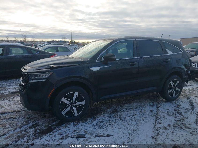 2021 Kia Sorento VIN: 5XYRGDLC4MG019442 Lot: 12475105