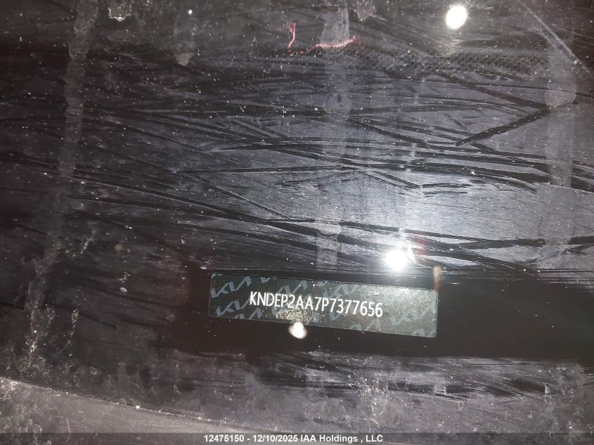 2023 Kia Seltos Lx VIN: KNDEP2AA7P7377656 Lot: 12475150