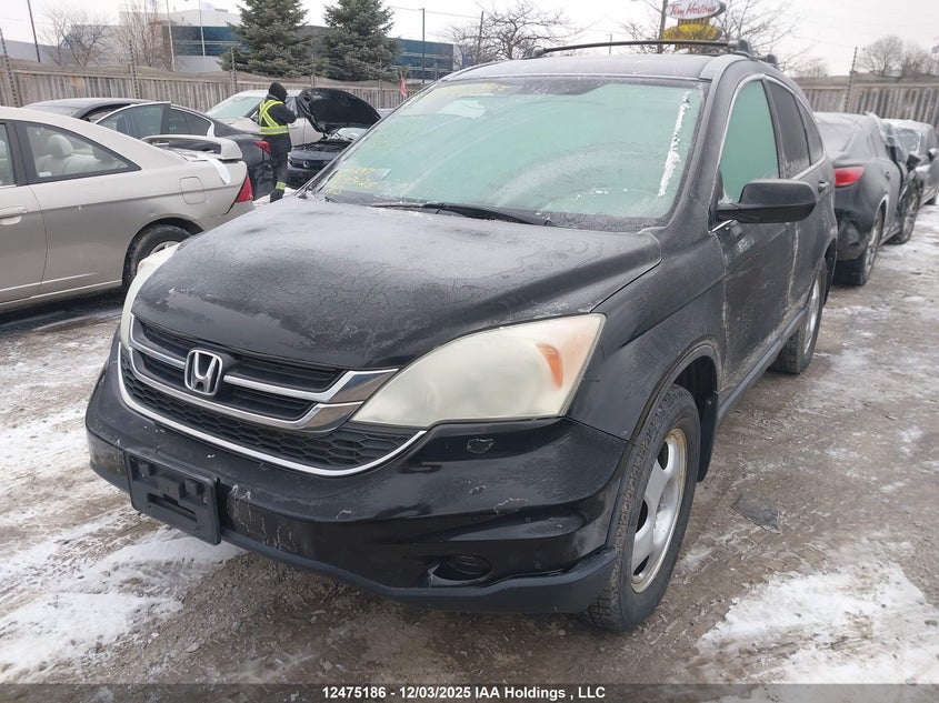5J6RE4H78AL810441 2010 HONDA CR-V photo no. 3