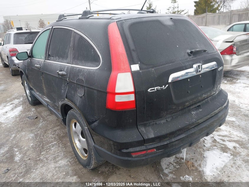 5J6RE4H78AL810441 2010 HONDA CR-V photo no. 4