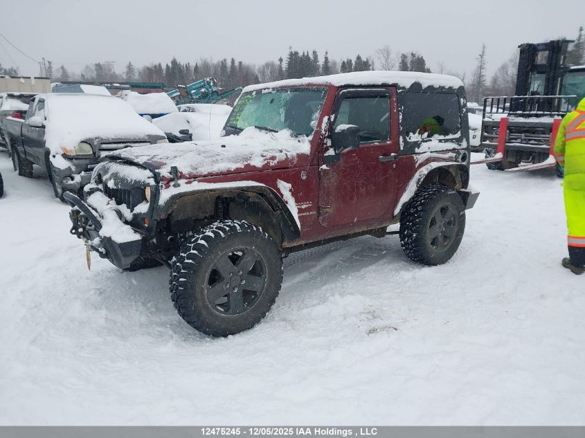 2008 Jeep Wrangler Sahara VIN: 1J8FA54178L629541 Lot: 12475245