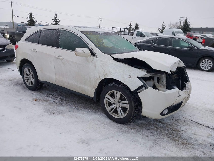 5J8TB4H39DL804560 2013 Acura Rdx auction photo 1
